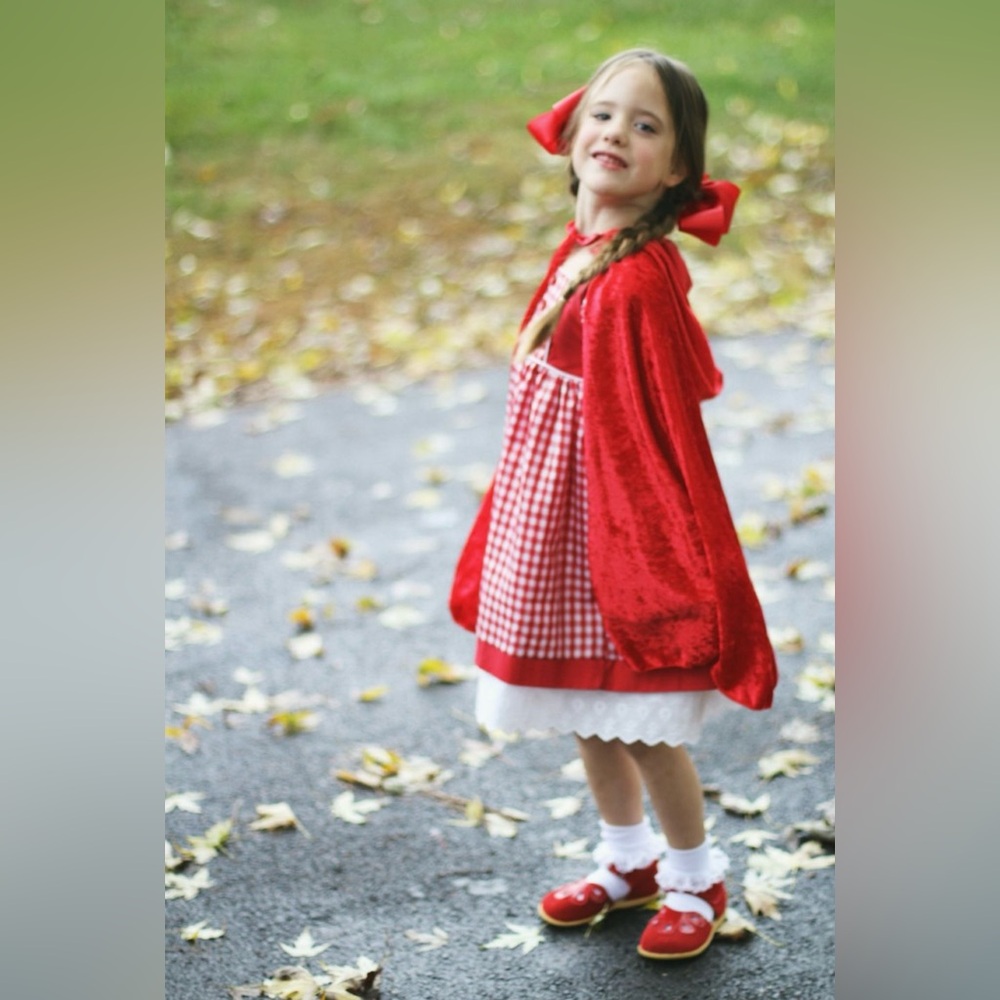 Grace And Gabriella Picnic Dress Size 3T EUC Perfect For Halloween